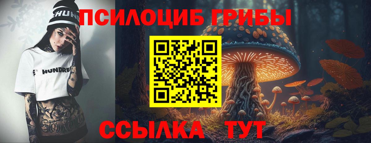 Псилоцибиновые грибы ЛСД Моздок