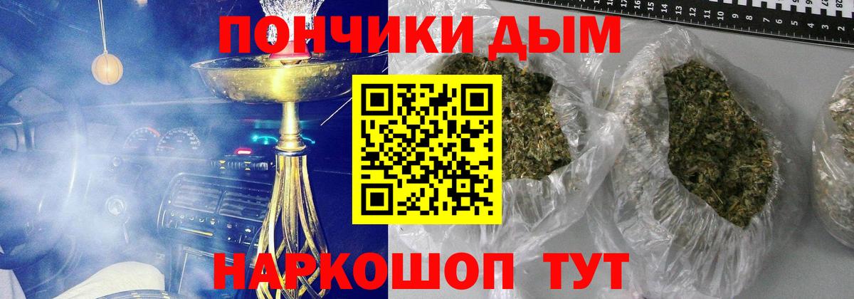 Конопля сатива Моздок